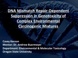 DNA Mismatch Repair-Dependent Suppression