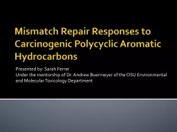 Mismatch Repair Responses to Carcinogenic Polycyclic Aromat