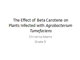 The Effect of Beta Carotene on Plants Infected with