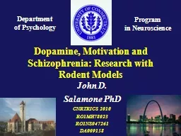 Dopamine, Motivation and Schizophrenia: Research with Roden