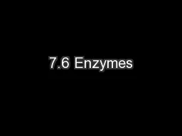 7.6 Enzymes