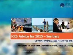 ICES Advice for 2015 – Sea bass