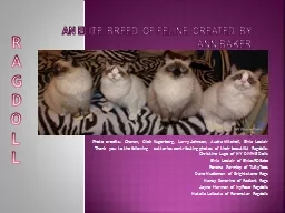 An elite breed of feline created by Ann Baker