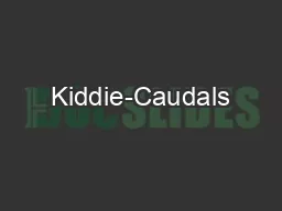 Kiddie-Caudals