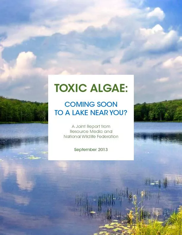 TOXIC ALGTO A LAKE EAR YOU?A Joint Report fromResource Media andNation
