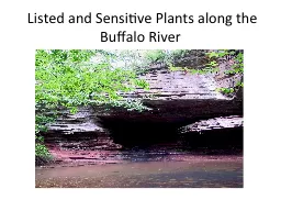 Listed and Sensitive Plants along the Buffalo River