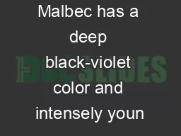 Alluvia Parcel Malbec has a deep black-violet color and intensely youn