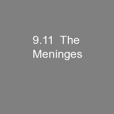 9.11  The Meninges
