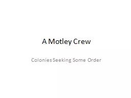 A Motley Crew