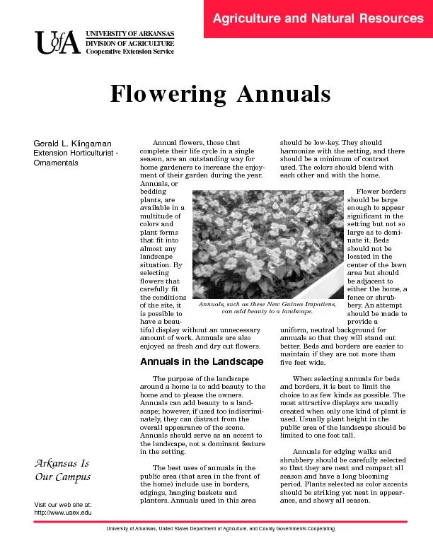 The best uses of annuals in the