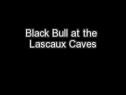 Black Bull at the Lascaux Caves