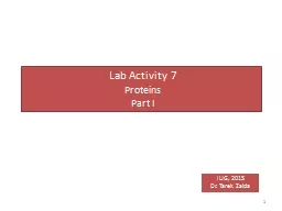 Lab Activity 7
