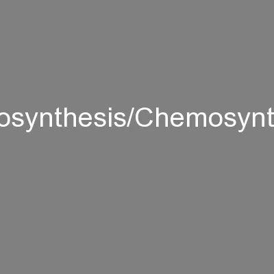 Photosynthesis/Chemosynthesis