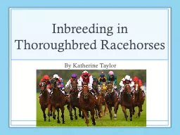Inbreeding in Thoroughbred Racehorses
