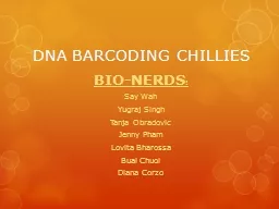 DNA BARCODING CHILLIES