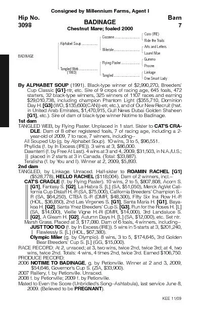 Consigned by Millennium Farms,Agent IBADINAGEChestnut Mare;foaled 2000