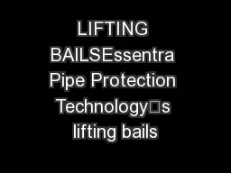 LIFTING BAILSEssentra Pipe Protection Technology’s lifting bails
