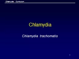 1 Chlamydia