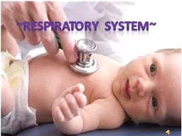 ~Respiratory system~