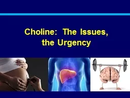 Choline: The Issues, the Urgency