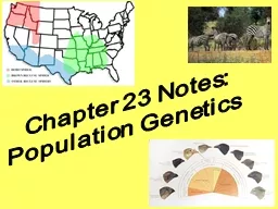 Chapter 23 Notes: