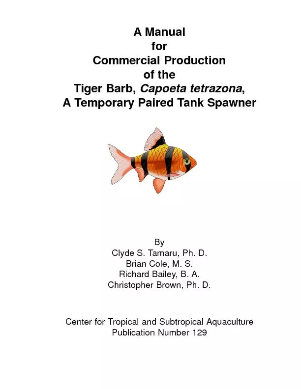 Commercial Production of Tiger BarbsTiger Barb, A Temporary Paired Tan