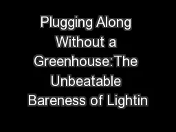 Plugging Along Without a Greenhouse:The Unbeatable Bareness of Lightin