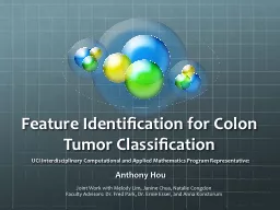 Feature Identification for Colon Tumor Classification