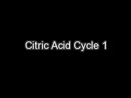 Citric Acid Cycle 1