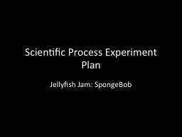 Scientific Process Experiment Plan