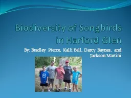 Biodiversity of Songbirds in Harford Glen