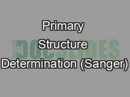 Primary Structure Determination (Sanger)