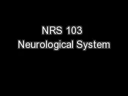 NRS 103 Neurological System