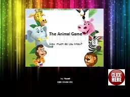 The Animal Game