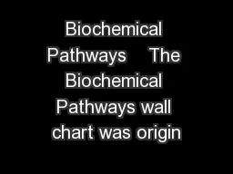 Biochemical Pathways    The Biochemical Pathways wall chart was origin