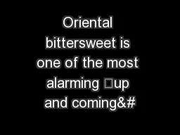 Oriental bittersweet is one of the most alarming “up and coming&#