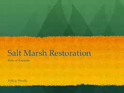 Salt Marsh Restoration