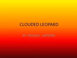 CLOUDED LEOPARD