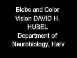 Blobs and Color Vision DAVID H. HUBEL Department of Neurobiology, Harv