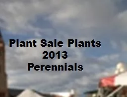 Plant Sale Plants