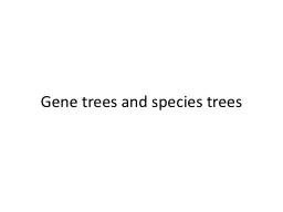 Gene trees and species trees