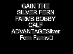 GAIN THE SILVER FERN FARMS BOBBY CALF ADVANTAGESilver Fern Farms’
