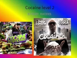 Cocaine level 2