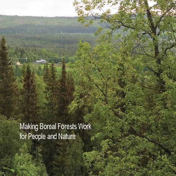 Making Boreal Forests Work
