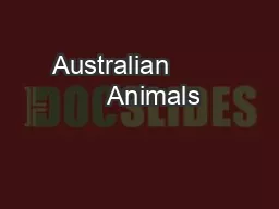 Australian            Animals