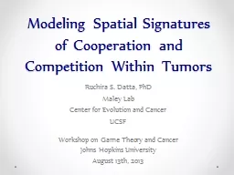 Modeling Spatial Signatures of Cooperation and Competition