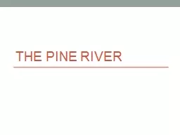 The Pine River