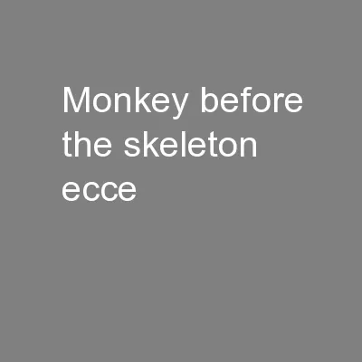 Monkey Before the Skeleton  (Ecce