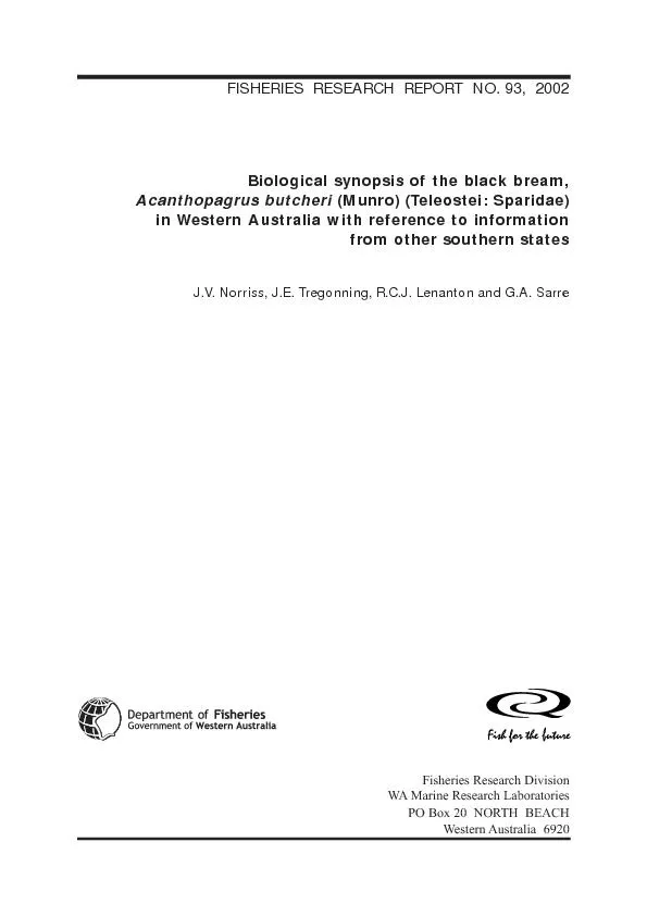FISHERIES  RESEARCH  REPORT  NO. 93,  2002(Munro) (Teleostei: Sparidae