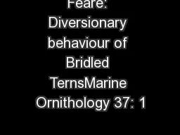 Feare: Diversionary behaviour of Bridled TernsMarine Ornithology 37: 1